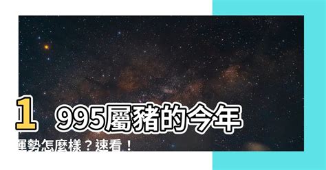 1995屬豬|1995年屬什麼生肖